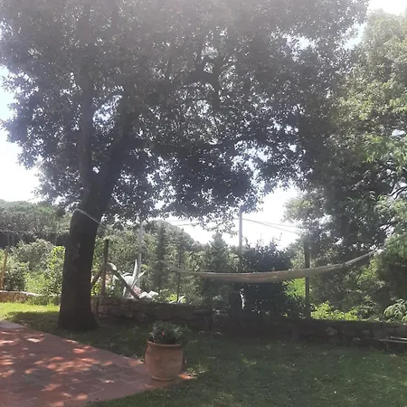 Villa Chiatri Lucca